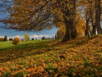 2013.10.26_121731_Herbst Rundfahrt Landsberg_2.jpg